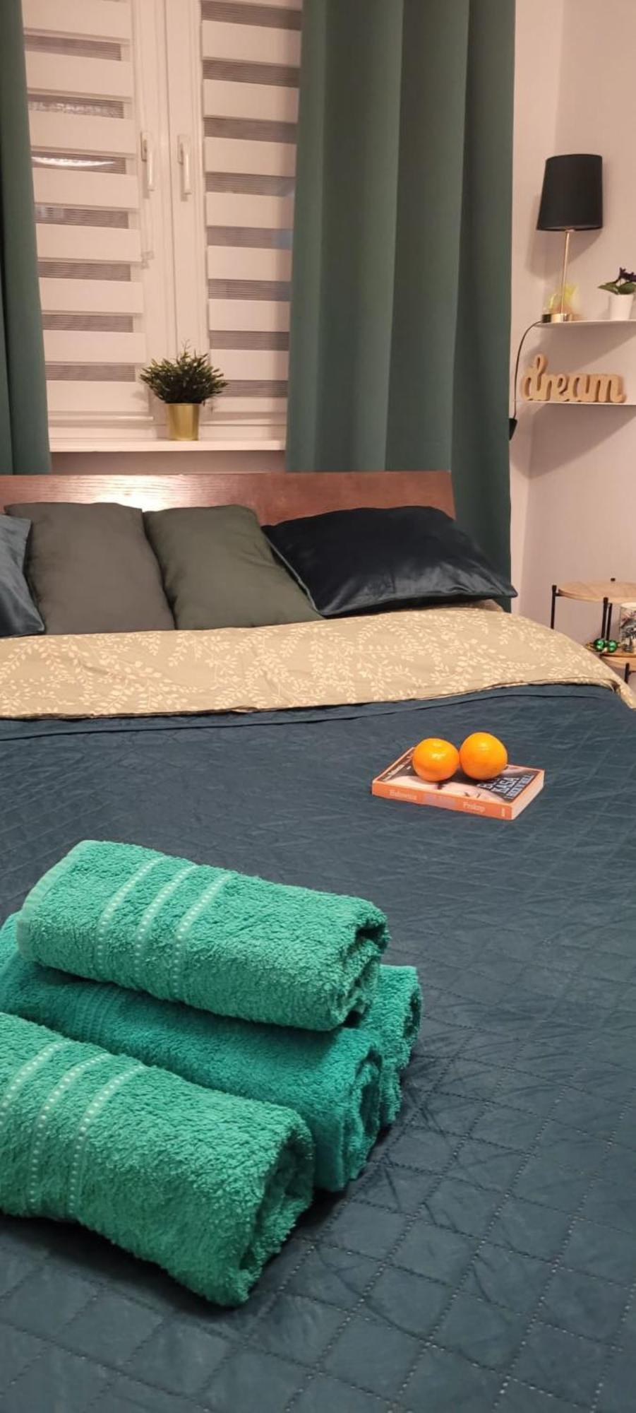 Apartament Zielona Przystan 格但斯克 外观 照片
